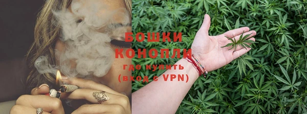 прущие крисы Богданович